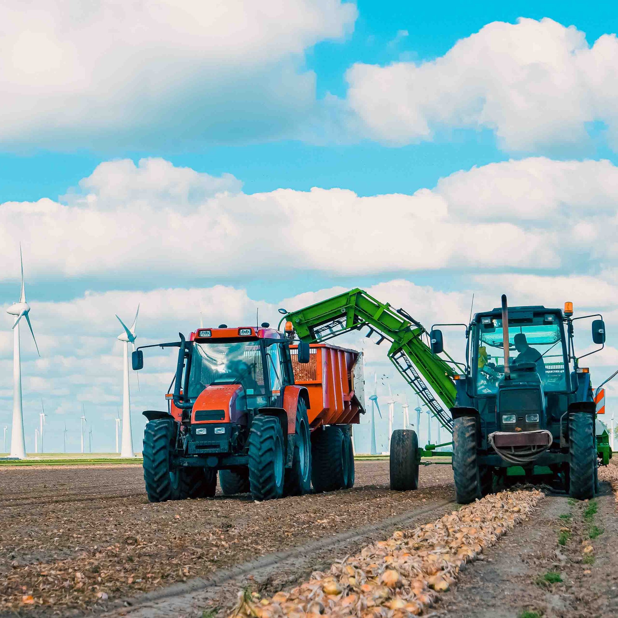 two tractors on a field harvesting crops